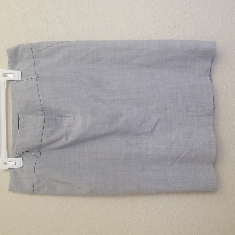 Express dress skirt